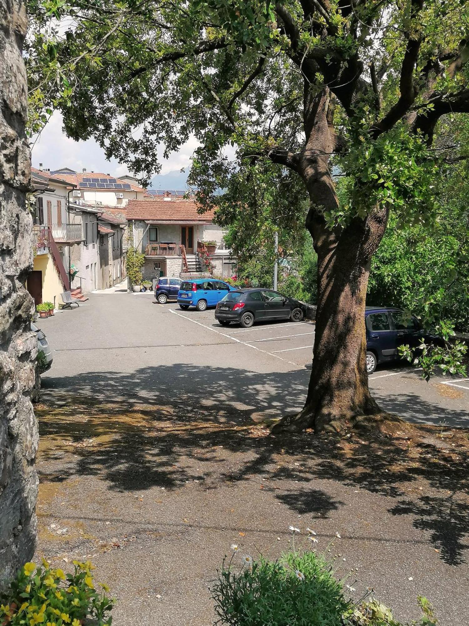 Forni Rosaia Villa Olivola  Exterior photo