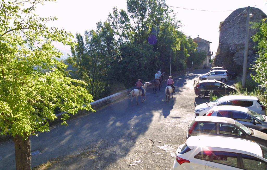 Forni Rosaia Villa Olivola  Exterior photo
