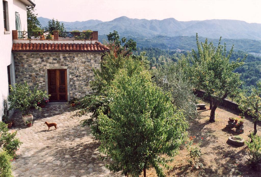 Forni Rosaia Villa Olivola  Exterior photo