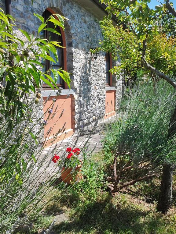 Forni Rosaia Villa Olivola  Exterior photo